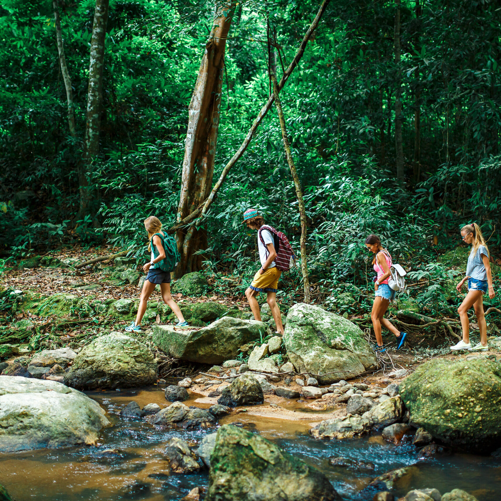 group of tourists hiking through deep jungle in thailand beside rocky stream